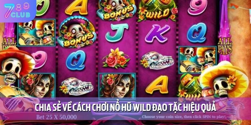 Chia sẻ về cách chơi nổ hũ Wild đạo tặc hiệu quả