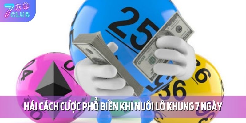 Hái cách cược phổ biến khi nuôi lô khung 7 ngày