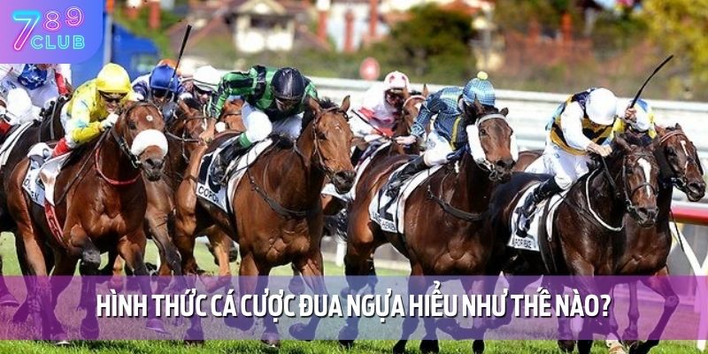 Hình thức cá cược đua ngựa hiểu như thế nào?