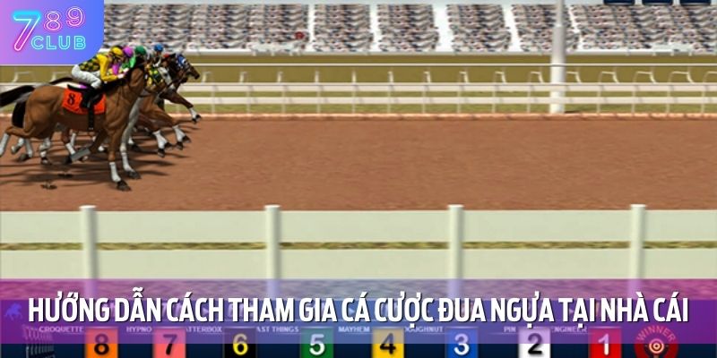 Hướng dẫn cách tham gia cá cược đua ngựa tại nhà cái