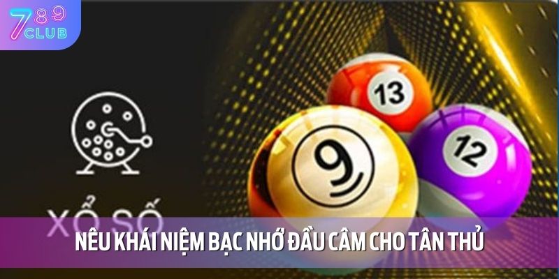 Nêu khái niệm bạc nhớ đầu câm cho tân thủ