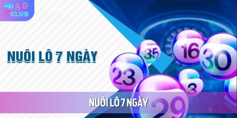 Nuoi Lo 7 Ngay