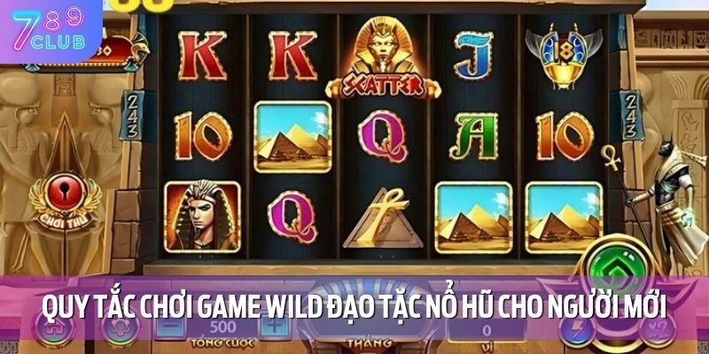 Quy tắc chơi game Wild đạo tặc nổ hũ cho người mới