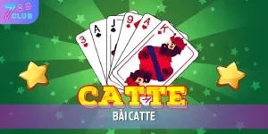 bai catte
