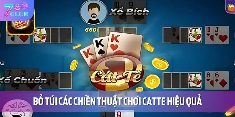 Bài Catte – Game Bài Gây Bão Cộng Đồng Trong Năm 2025 4 Bỏ túi các chiến thuật chơi Catte hiệu quả