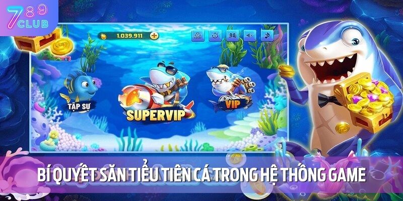 Bí quyết săn tiểu tiên cá trong hệ thống game