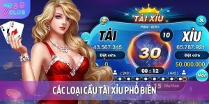 cac loai cau tai xiu pho bien