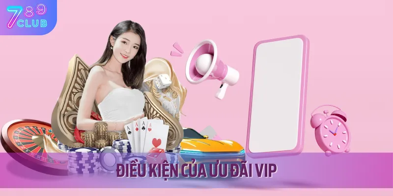 Tổng hợp các điều kiện của chương trình độc quyền VIP