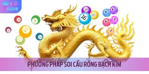 phuong phap soi cau rong bach kim