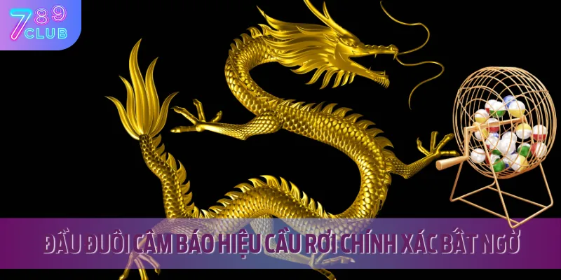 Đầu đuôi câm luôn được rất nhiều người chơi lựa chọn